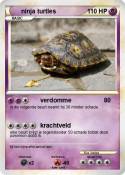 ninja turtles