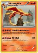 Fire dragon's