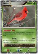 Bird