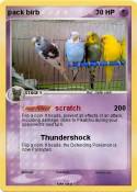 pack birb