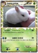 bunny prime