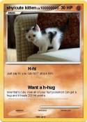 shy/cute kitten