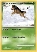 berger allemand