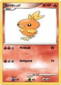 Torchic