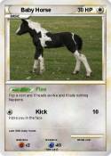 Baby Horse