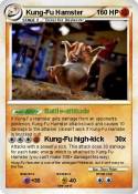 Kung-Fu Hamster