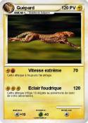 Guépard