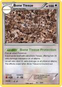 Bone Tissue