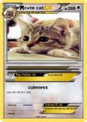 cute cat