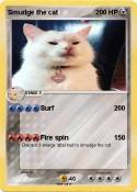 Smudge the cat