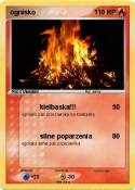 ognisko