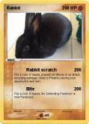 Rabbit