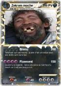 Zekrom moche