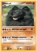 Chien