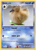 Duck