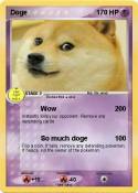 Doge