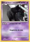 chat qui buzz (