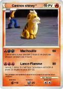 Caninos shiney