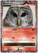 Barred Owl