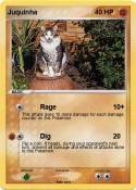 Juquinha