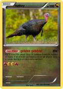 turkey