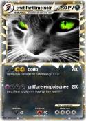 chat fantôme