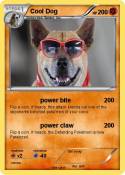 Cool Dog