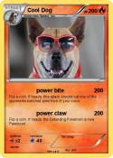 Cool Dog