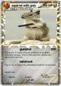 squirrel with