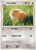 Cute Kitten