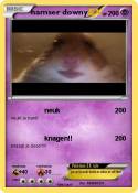 hamser downy