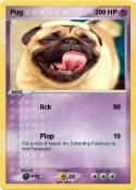 Pug