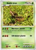 Basilic brun