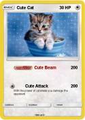 Cute Cat