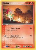 Wildfire
