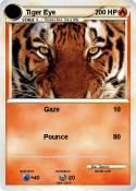 Tiger Eye