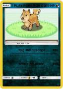 I PLAY POKEMON