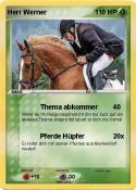 Herr Werner