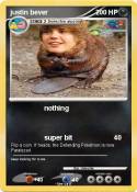 justin bever