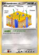 Cell membrane