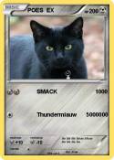 POES EX