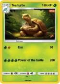 Tea turtle