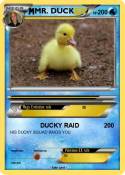 MR. DUCK