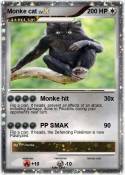 Monke cat