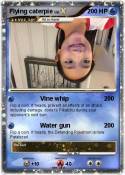 Flying caterpie