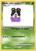 border collie