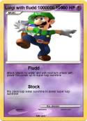 Luigi with flud