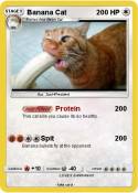 Banana Cat