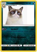 Grumpy cat
