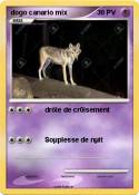 dogo canario